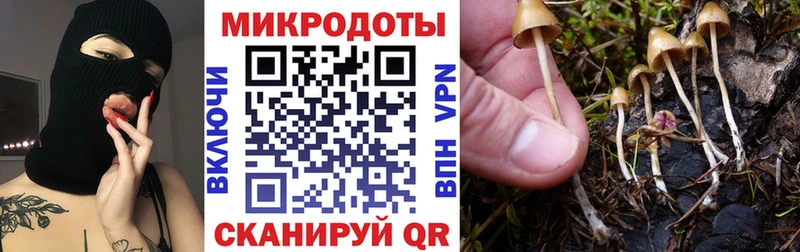 Псилоцибиновые грибы Magic Shrooms  Радужный 